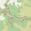 Kinnitty Forest MTB Loop trail, distance, elevation, map, profile, GPS track