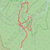 Lost City Walking Track in Gardens of Stone State Conservation Area trail, distance, elevation, map, profile, GPS track